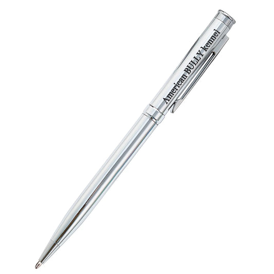 Bully 6 Pack Silver Pen