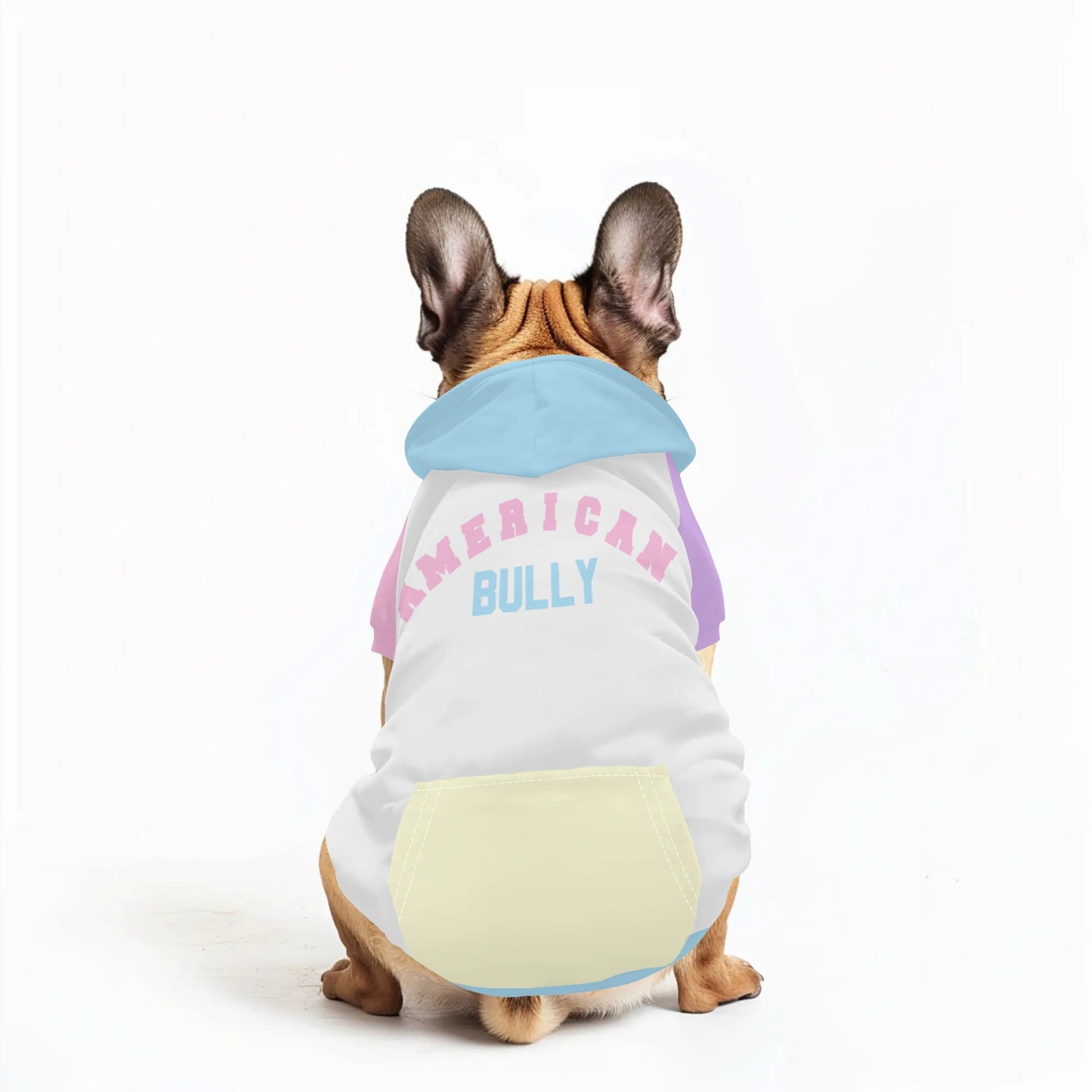 Machy Hoodie for Small Bully Breeds