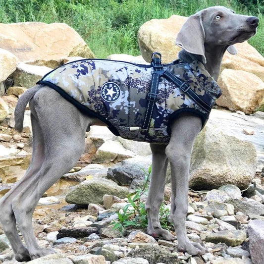 Stylish waterproof and warm dog jacket.