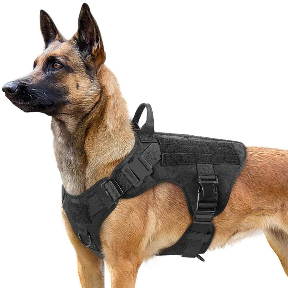 Army harness for dogs