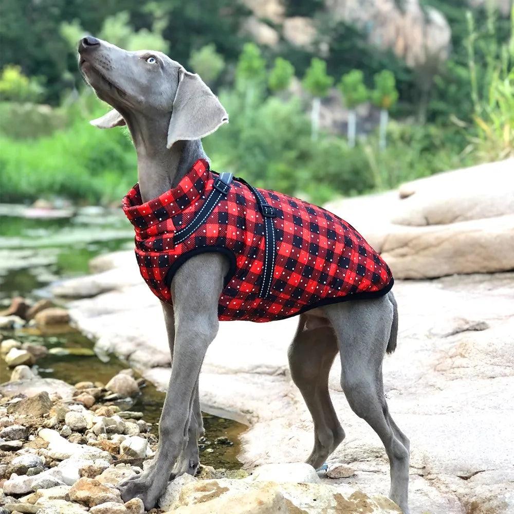 red Stylish waterproof and warm jacket for large dog