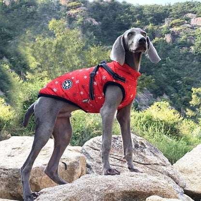 Red Stylish waterproof and warm dog jacket.