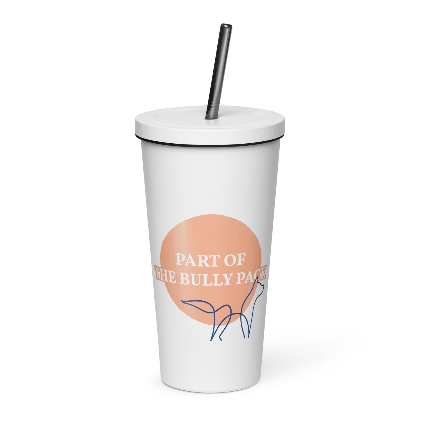 Insulated B Pack tumbler with a straw