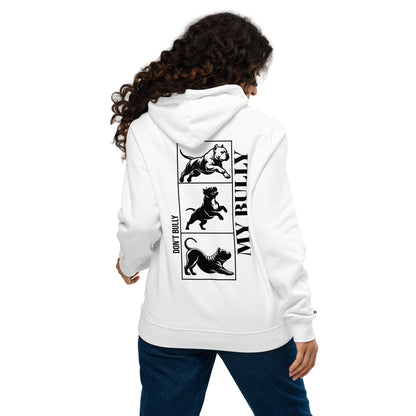 Unisex 3BD eco raglan hoodie