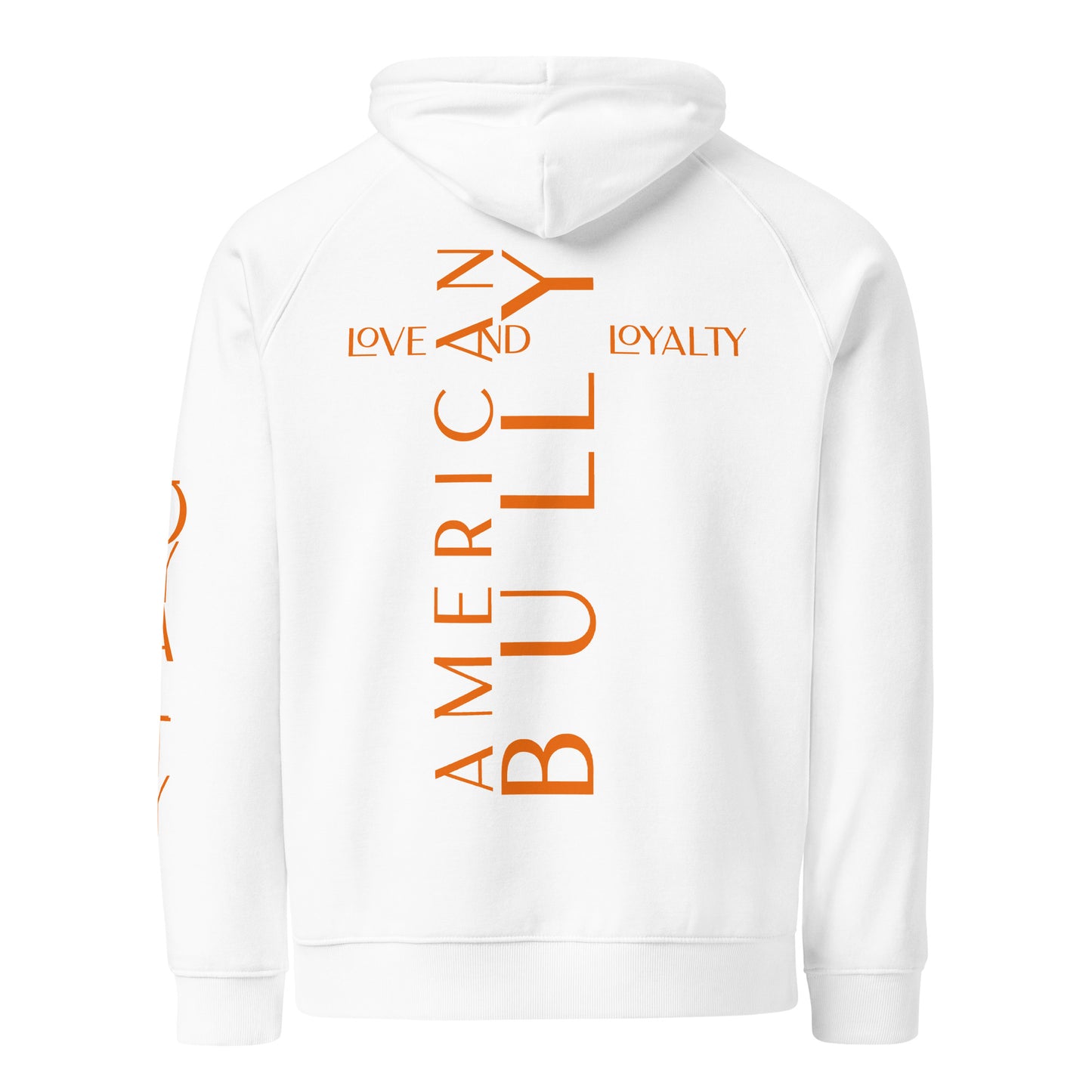 Unisex BOQ eco raglan hoodie