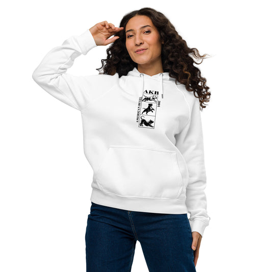 Unisex 3BD eco raglan hoodie