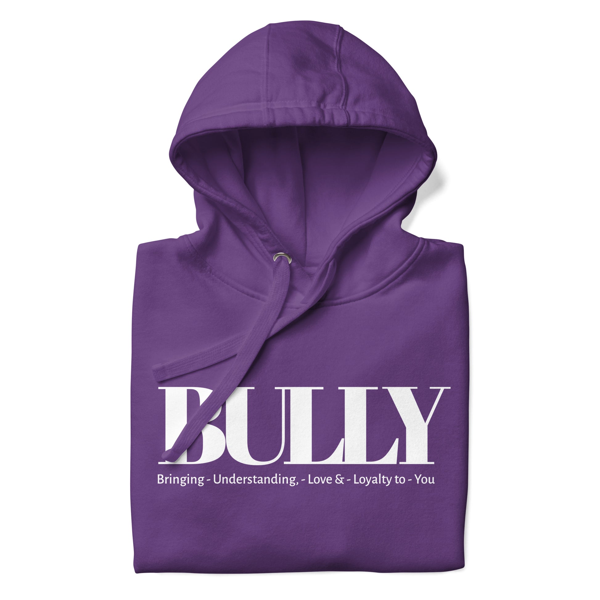 Adjective Hoodie - [BULLY_BRAND]