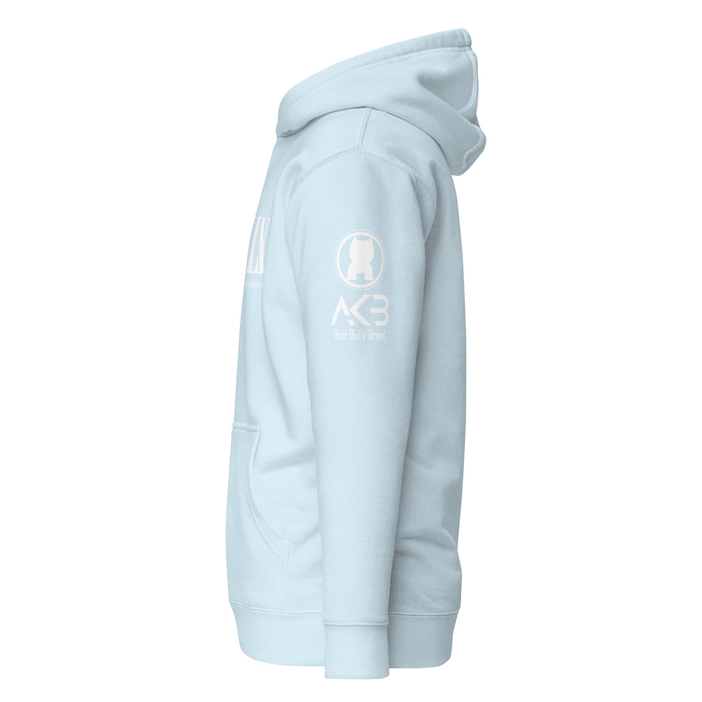 SKY Loyalty Hoodie - [BULLY_BRAND]