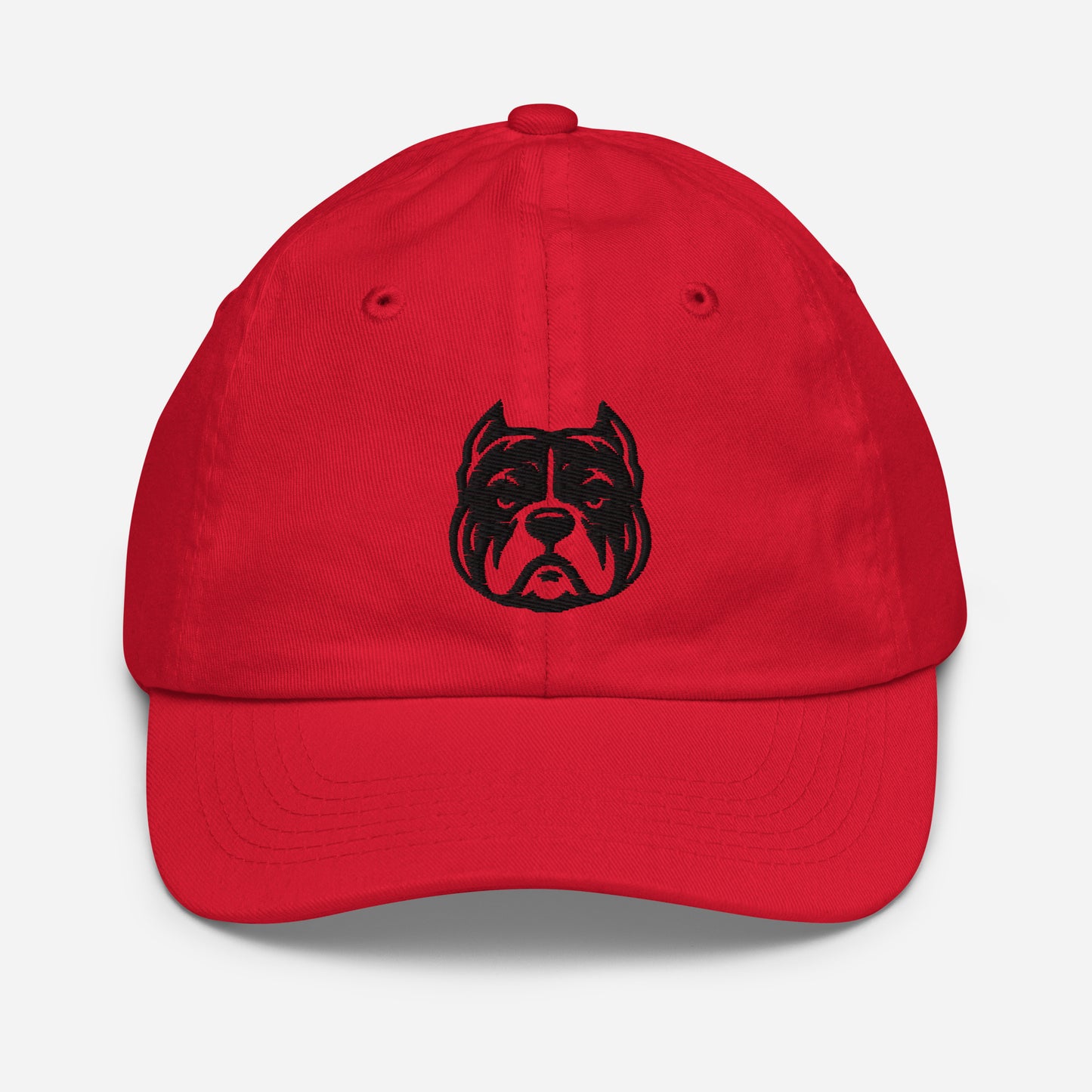 Youth BH baseball cap