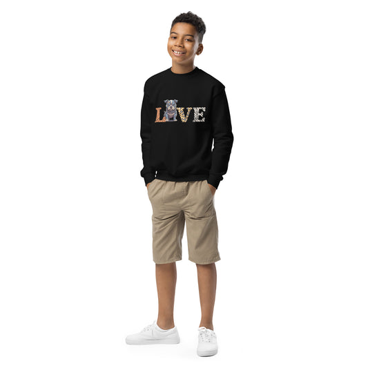 Youth LOVE crewneck sweatshirt